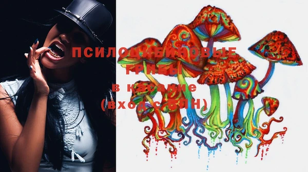 Альфа ПВП Вяземский