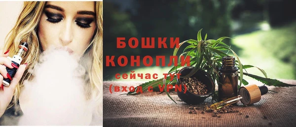 Альфа ПВП Вяземский