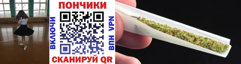 Канабис OG Kush продажа наркотиков Барнаул